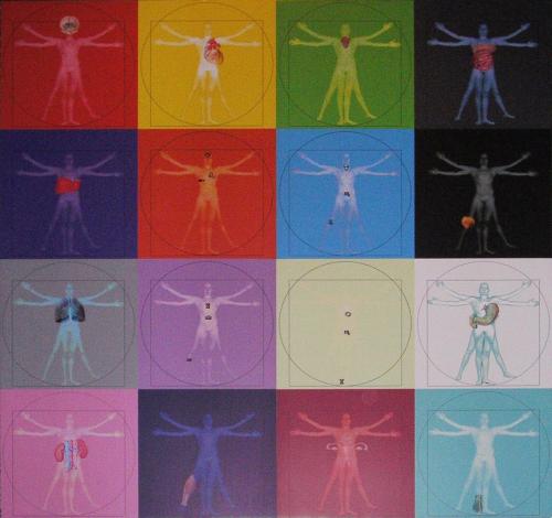 “La corrispondenza dei segni zodiacali sul corpo umano”